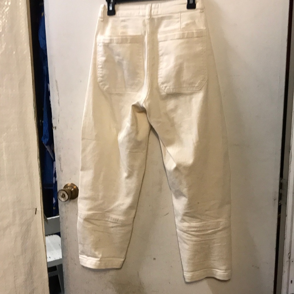 Everlane Barrel leg Pants